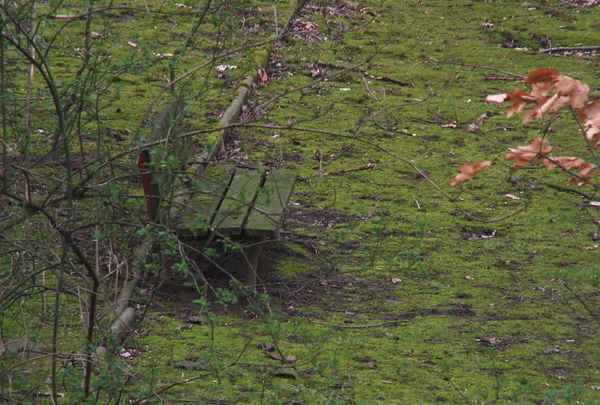 Warten auf Frühling