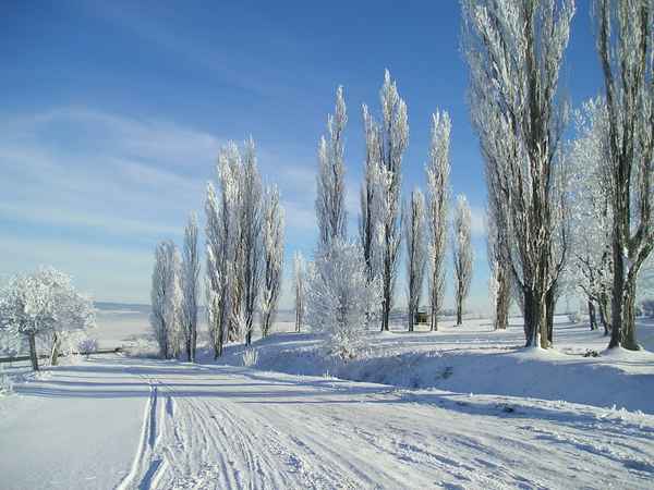 eine Landschaft im weißen Kleid
