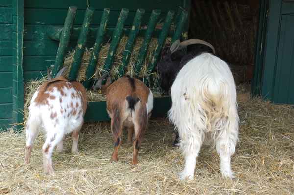 Ihr könnt uns mal alle...