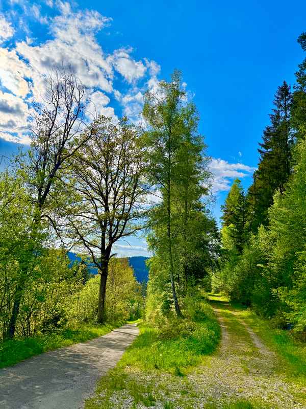 Wandern im Schwarzwald