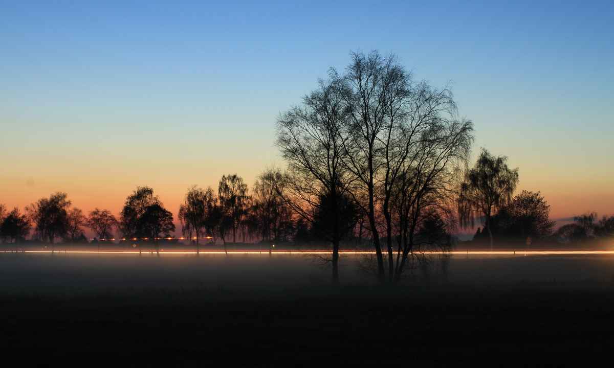 nebel in den wiesen  zur blauen stunde 3
