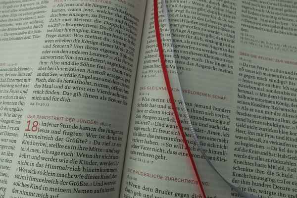 Blick in die Bibel