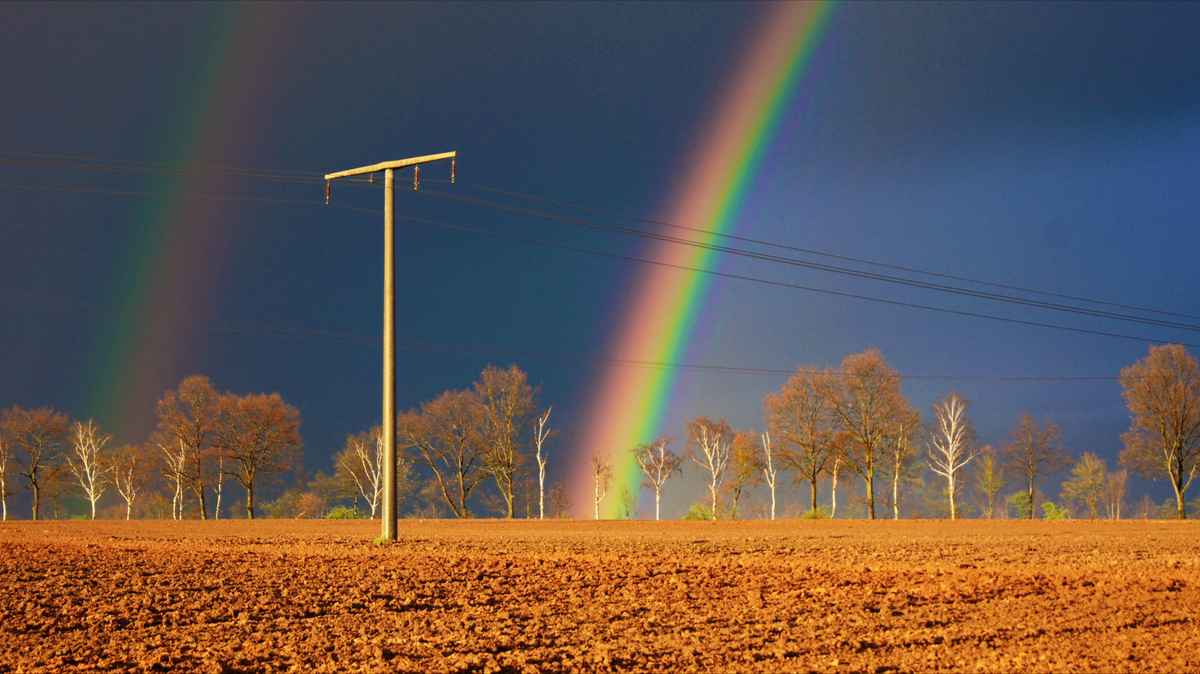 Regenbogen