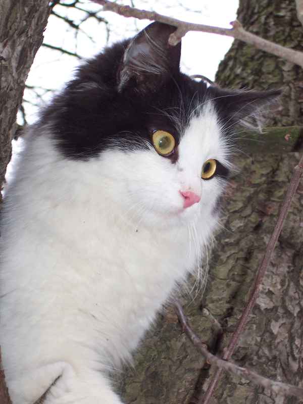 Du kriegst mich ja doch nicht....