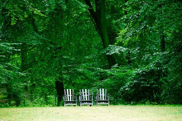 Auszeit im Wald