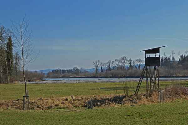 Beobachtungsposten im Naturparadies