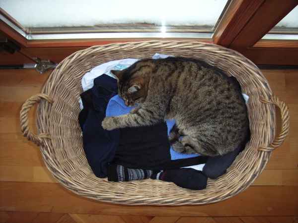 Frische Bügelwäsche...