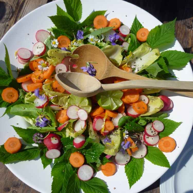 Frühlingssalat
