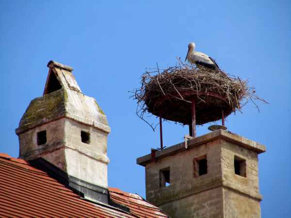 Alles im Blick