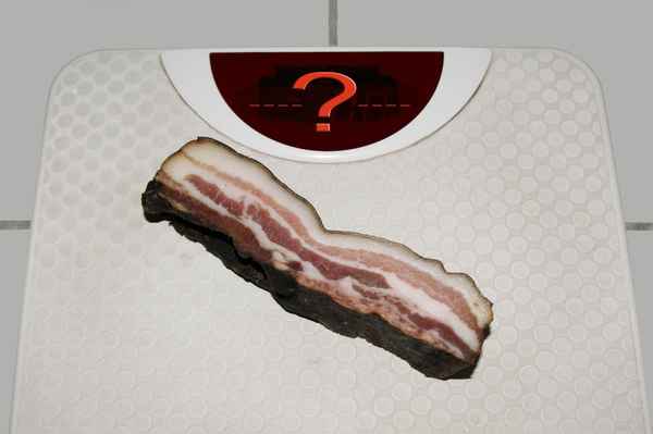 Wieviel Speck habe ich angesetzt?
