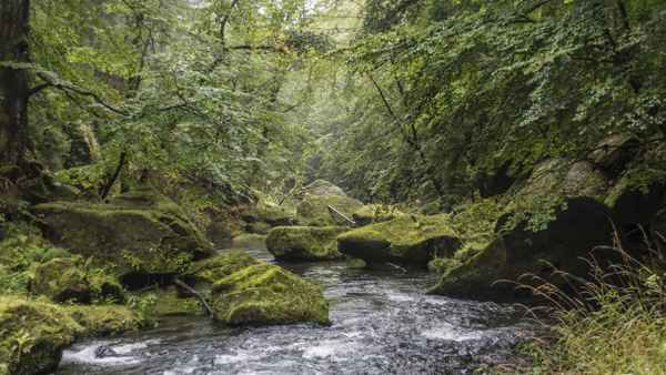 Edmunds Klamm