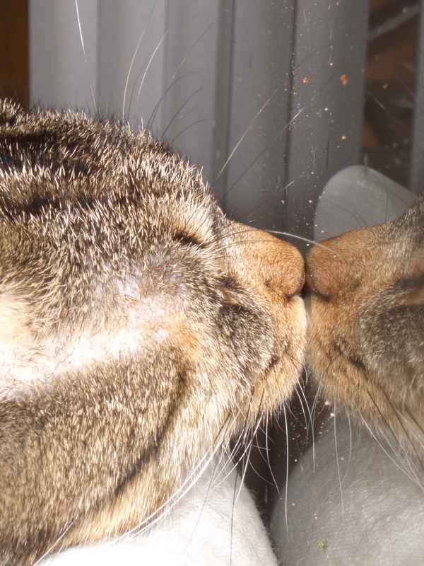 Ich hab mich lieb!