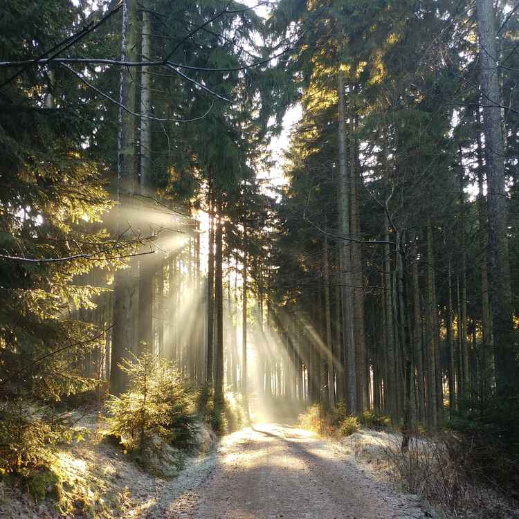 die Sonne geht unter