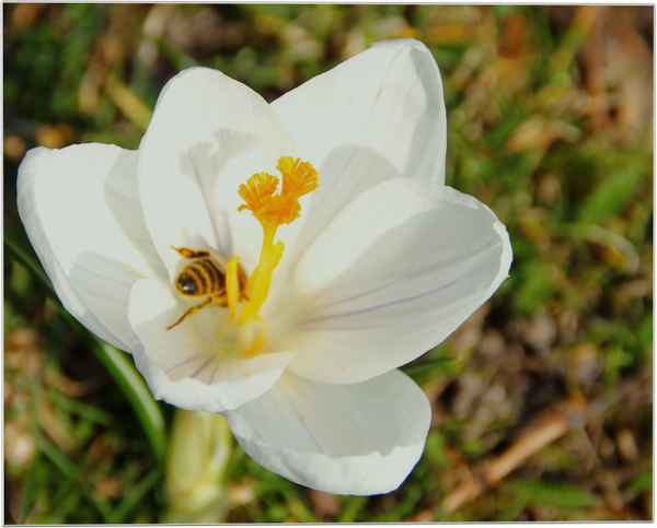 Alle Jahre wieder...