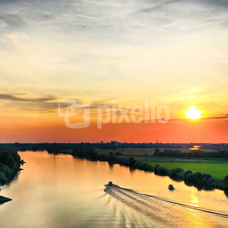 Goldwellen-Reiter