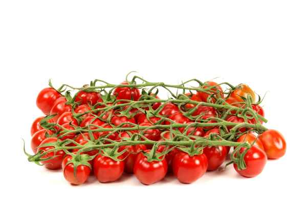 Tomaten 68