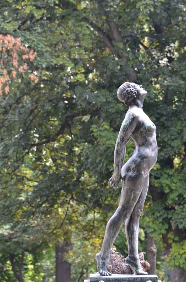 sonnenanbeterin