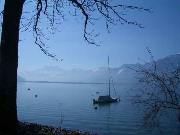 Segelschiff auf dem Genfersee