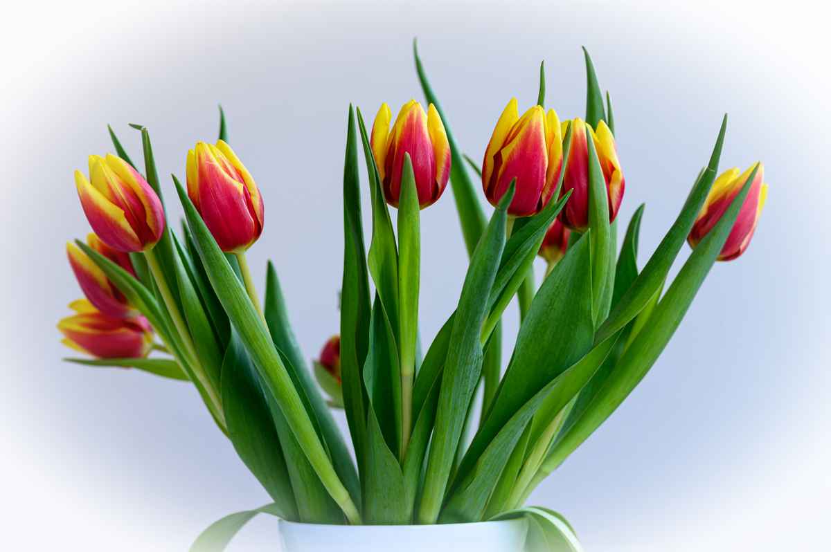 Willkommene Farbtupfer