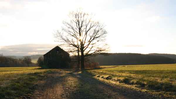 alte Scheune in Morgensonne
