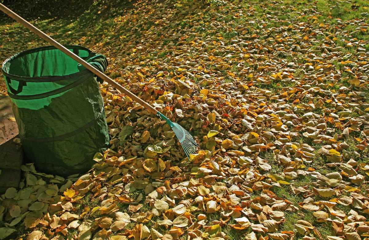 Gartenarbeit