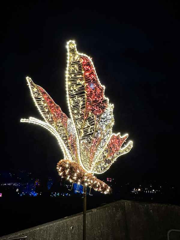 Leuchtender Schmetterling