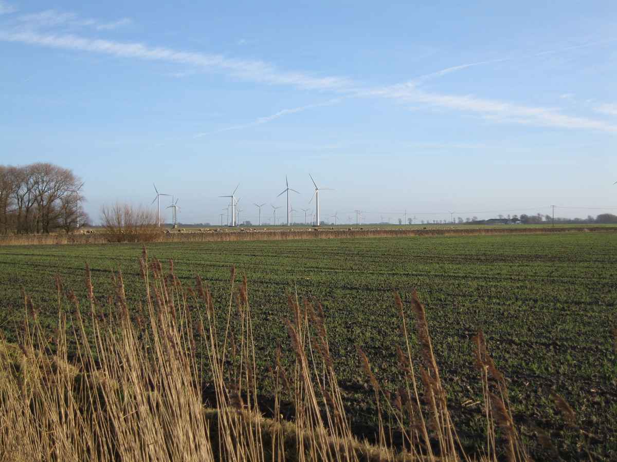 Dithmarschen