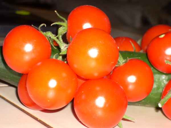 Gesund und Lecker