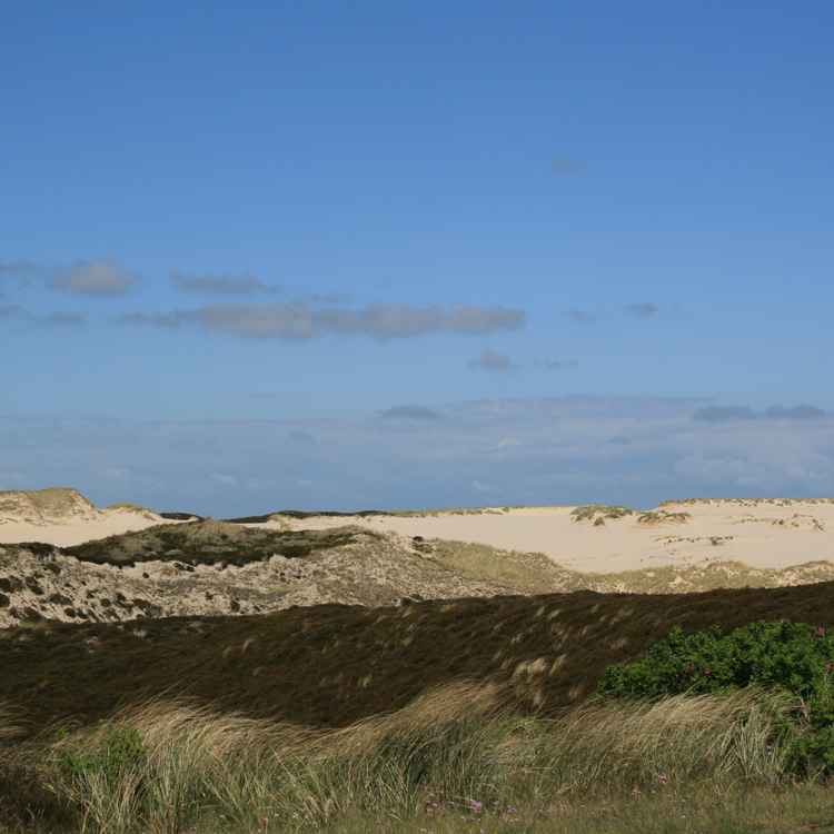 Sylt Dünen