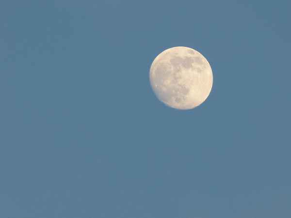 Fast Vollmond