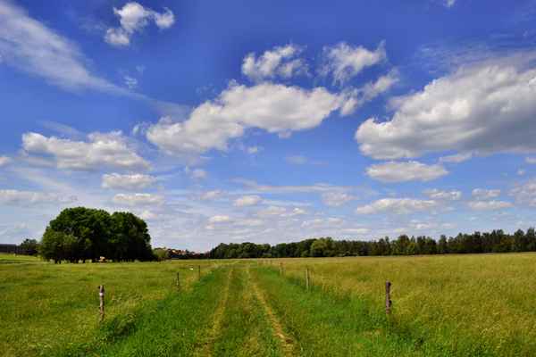 Altenburger Land