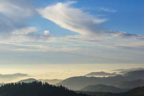 Schwarzwald - über den Wolken