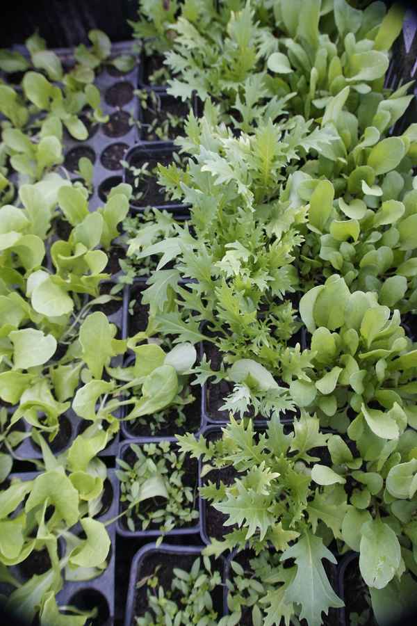 Wann geht es in den Garten