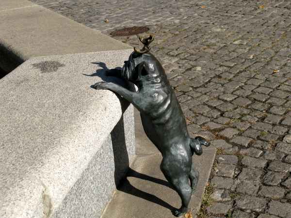 Möchte an das Wasser