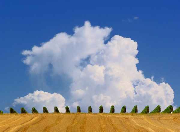 Fruchtbares Land