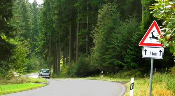 Vorsicht Wildwechsel