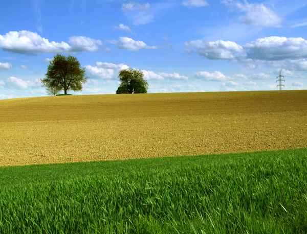 Im Märzen der Bauer_2 (quer)