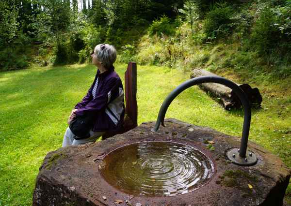 Innere Einkehr im Wellness-Wald