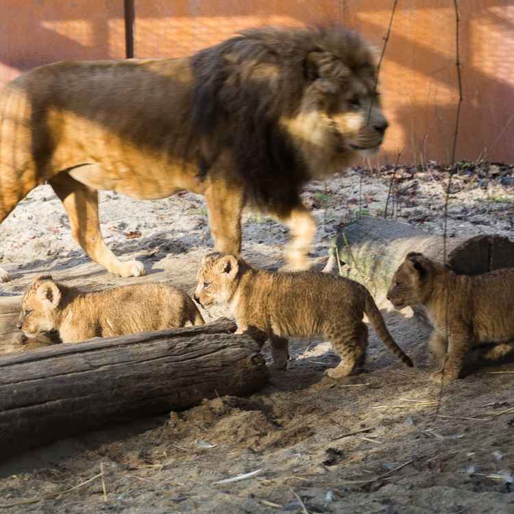Da bleib ich lieber weg