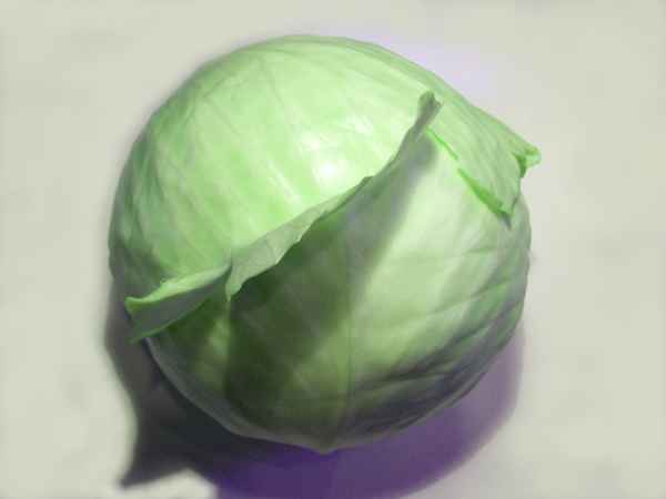 Weißkohl