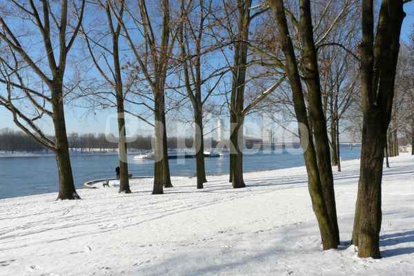 Winter am Rhein bei Bonn