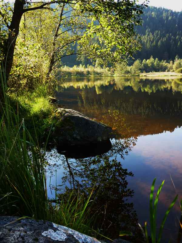 Sankenbachsee bei Baiersbronn_hoch