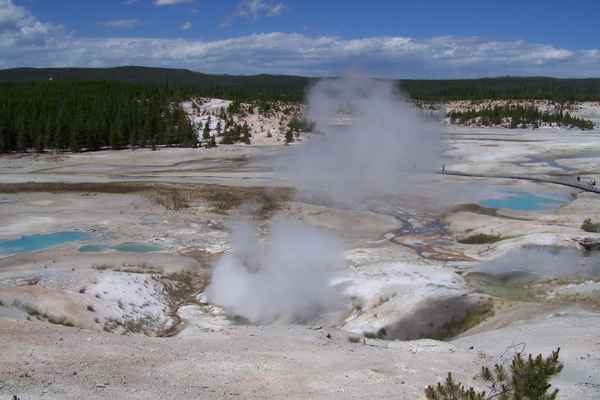Geyser -  Yellowstone National Park (WY)