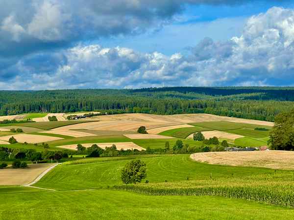Feldergrafik im Schwarzwald