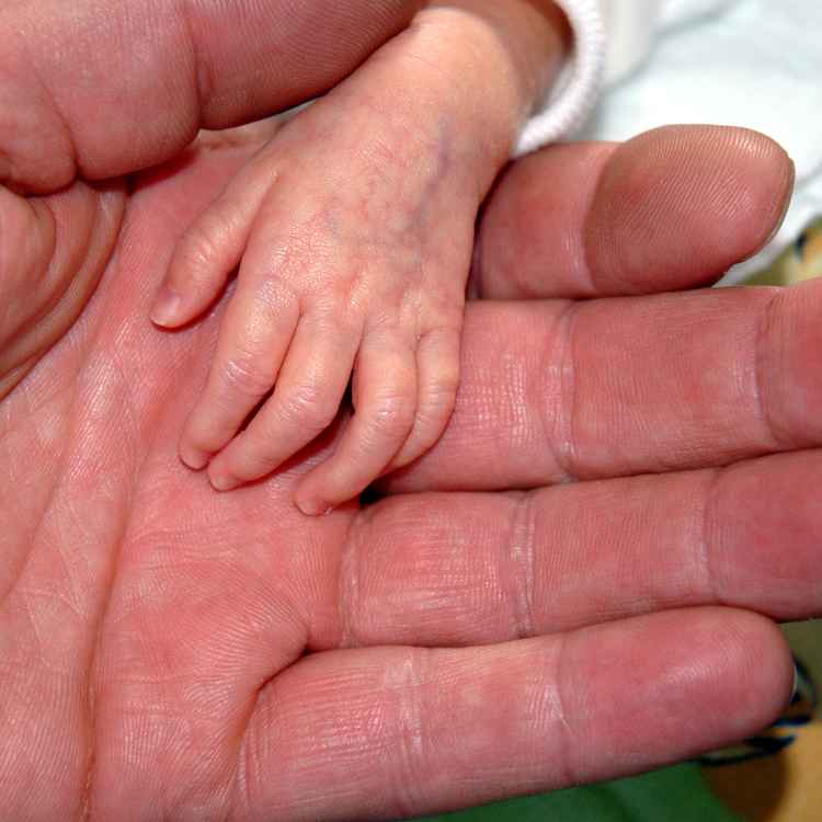 Deine Hand in meiner Hand 1