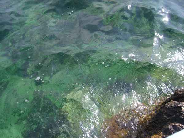 Lichtreflexe im Wasser
