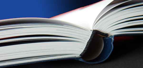 Bücher lesen .......