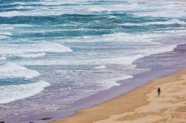 Einsamer Strandl&auml;ufer