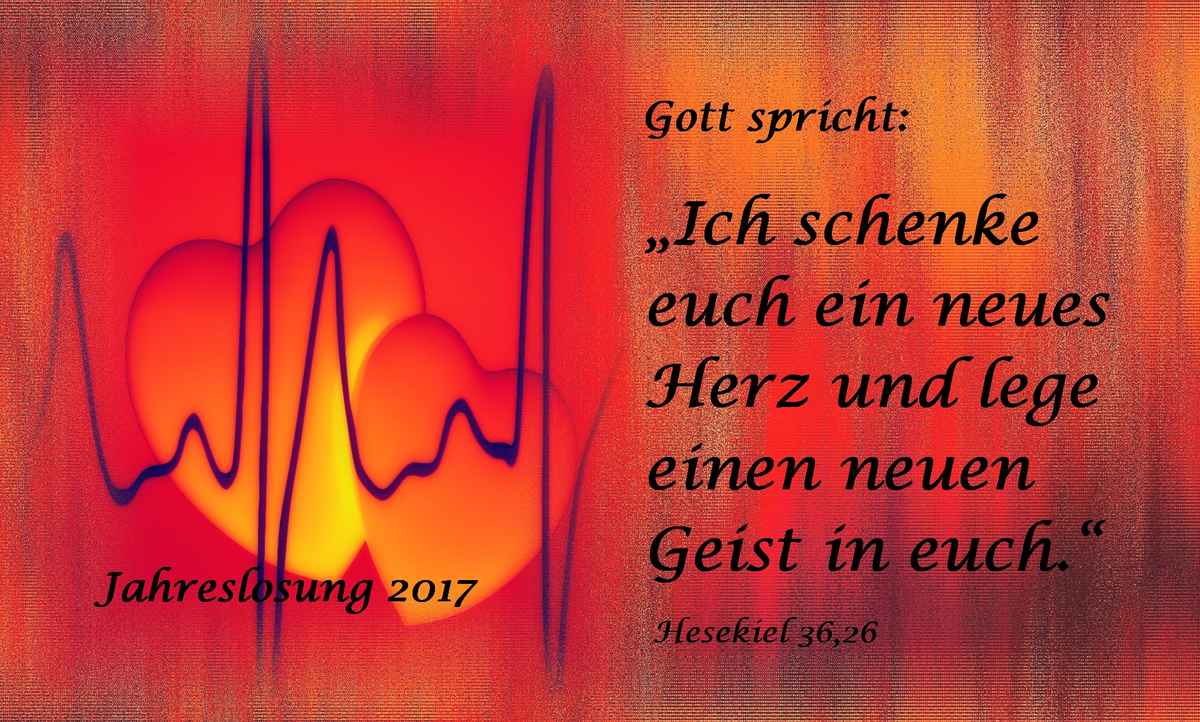 Jahreslosung 2017-5b