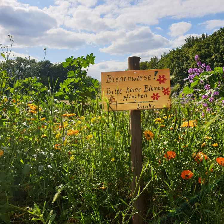 Bitte keine Blumen pflücken